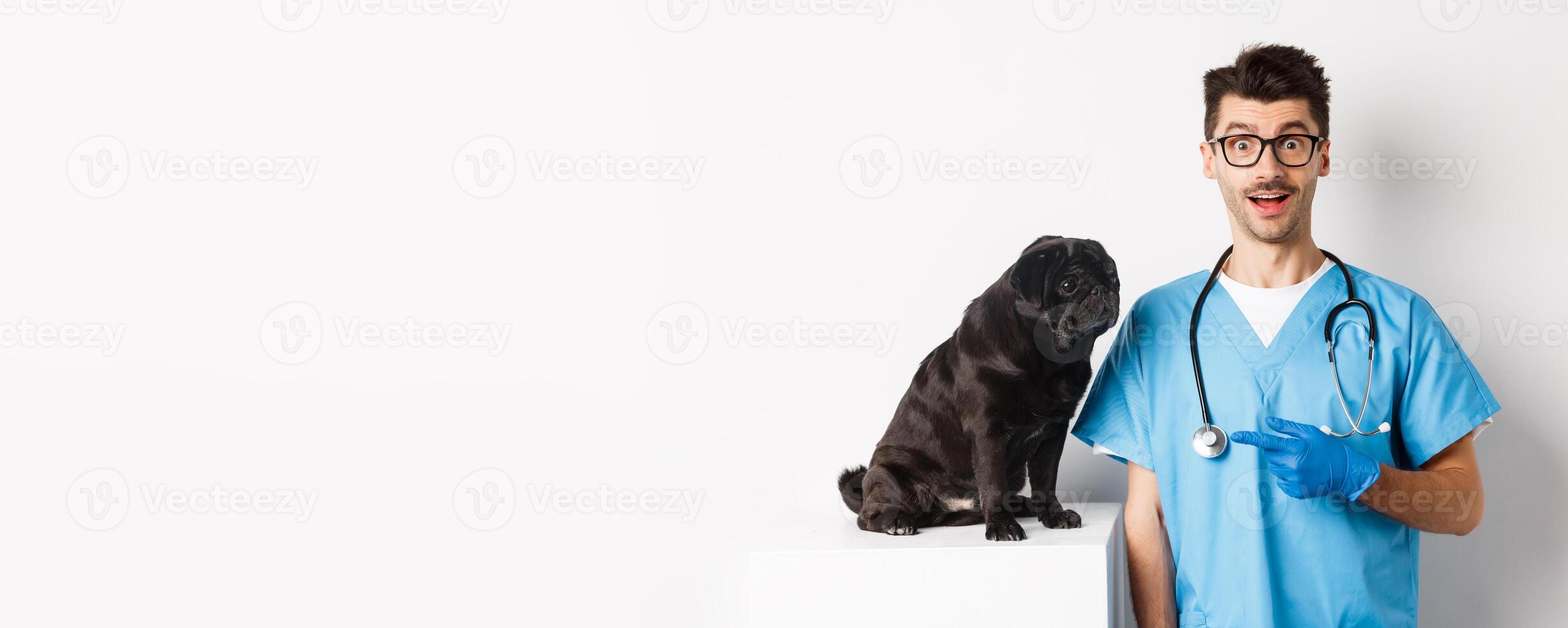 Amazed doctor staring at camera, male veterinarian pointing finger at cute black pug dog on examination table, white background photo