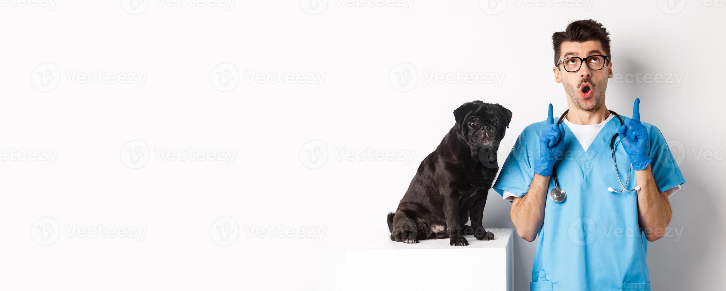 Handsome young doctor at vet clinic pointing fingers up and looking amazed, standing near cute black pug dog, white background photo
