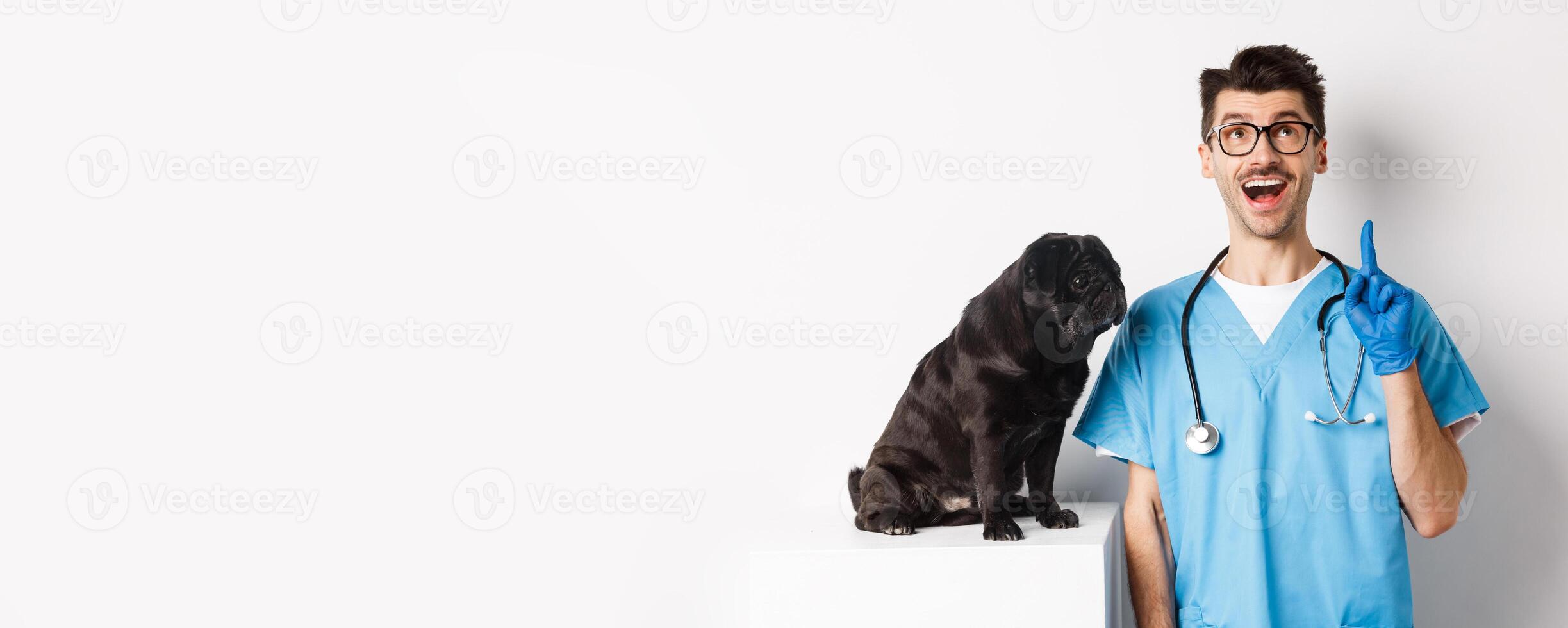 Handsome young doctor at vet clinic pointing finger up and looking amazed, standing near cute black pug dog, white background photo