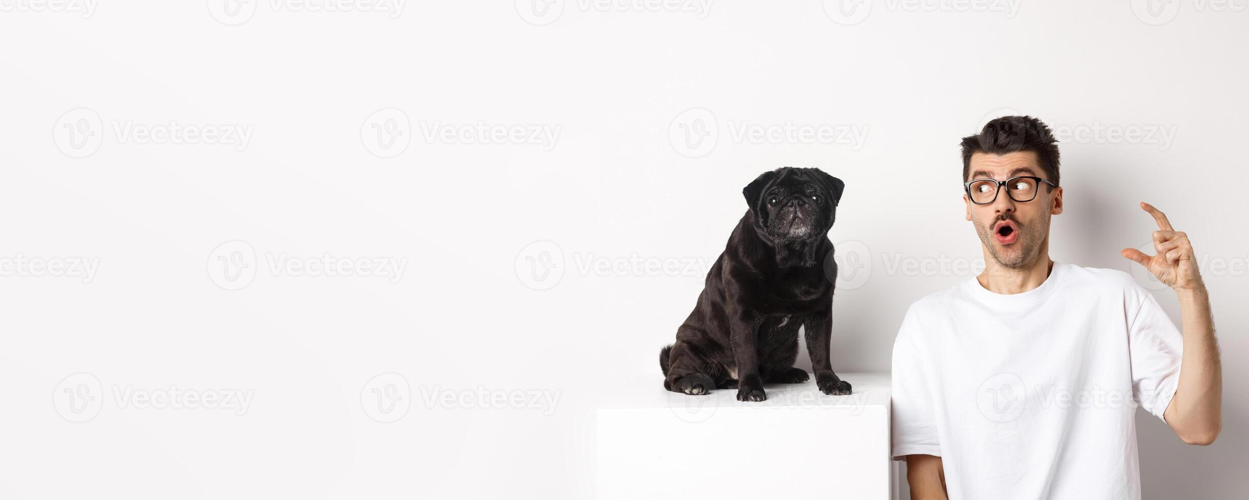 Happy male dog owner sitting near cute black pug, looking at pet with amazed and surprised face, white background photo
