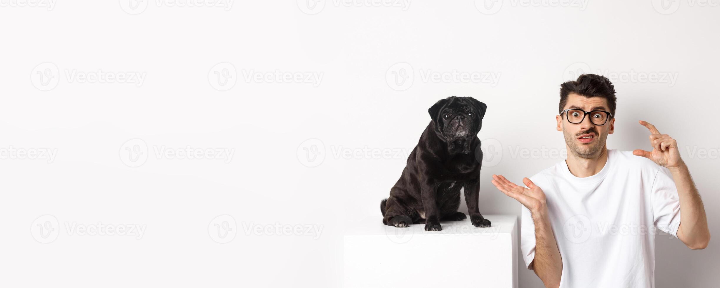 Image of puzzled young man sitting near cute black pug, showing small size and shrugging confused, white background. photo