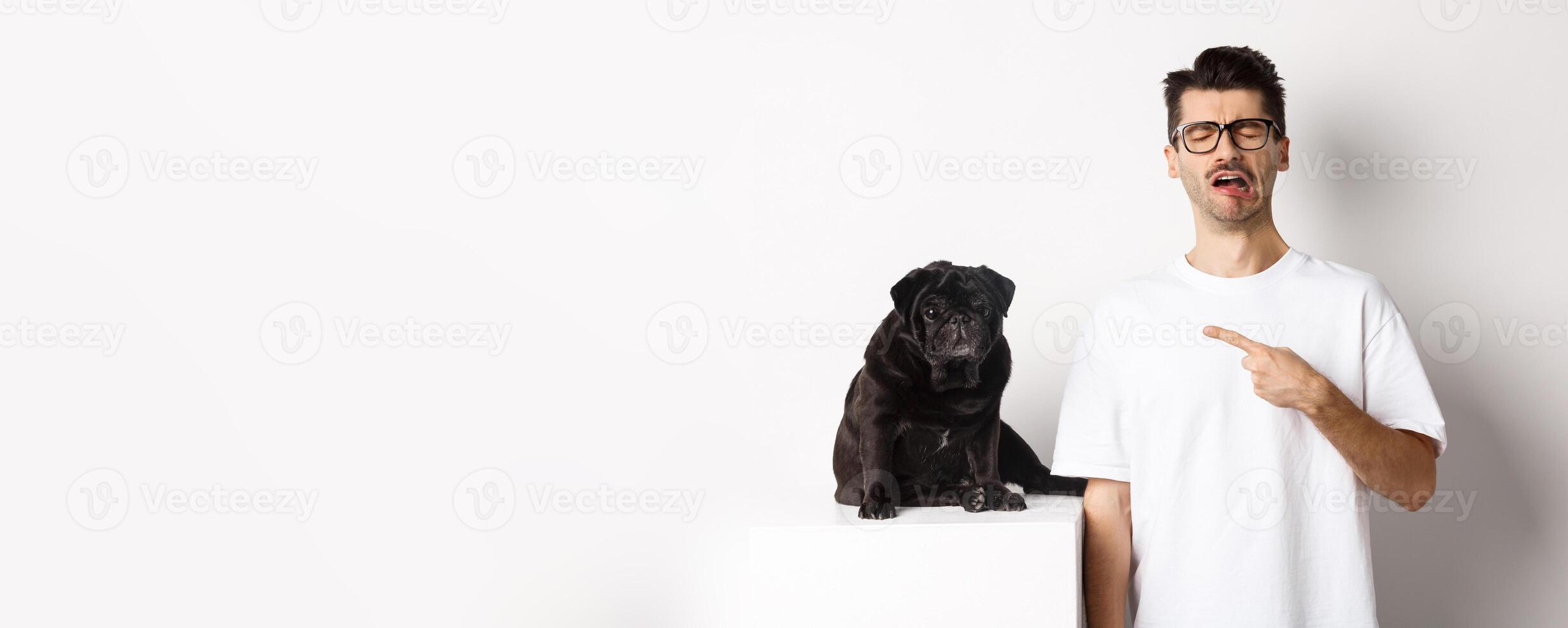 Upset crying man pointing at cute black pug and sobbing, complaining on his pet, standing sad against white background photo