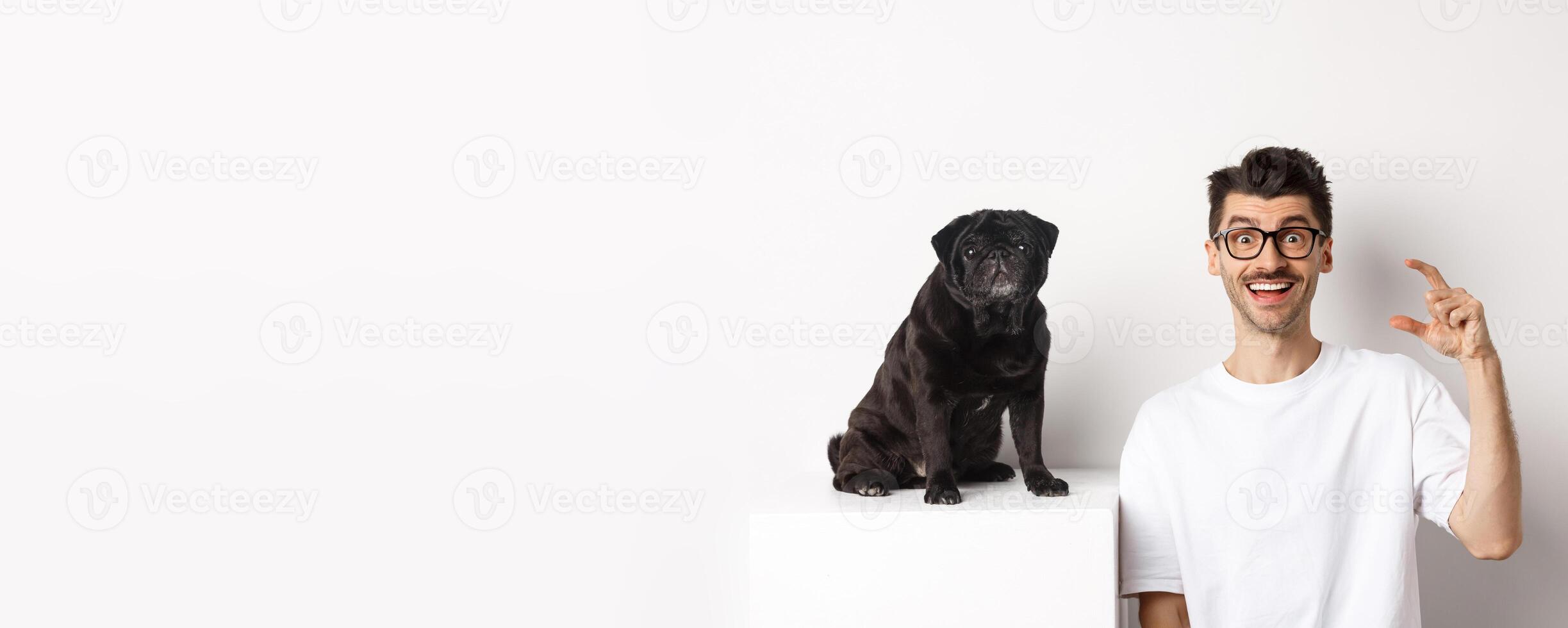 Happy dog owner sitting near cute black pug, smiling and showing small little size, white background photo