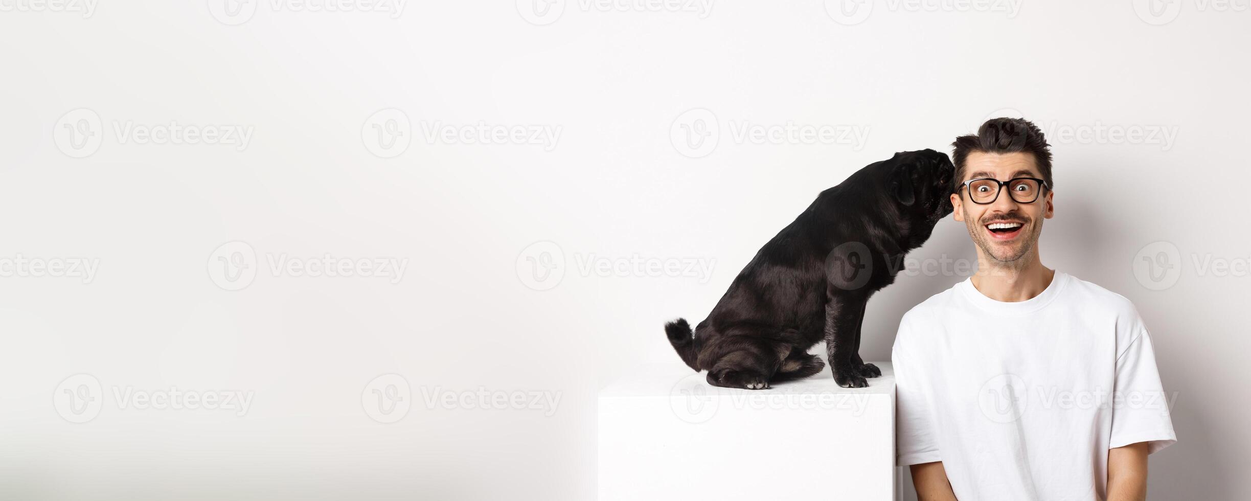 Image of cute black pug dog whispering at owner ear, man looking amazed and smiling, standing over white background photo