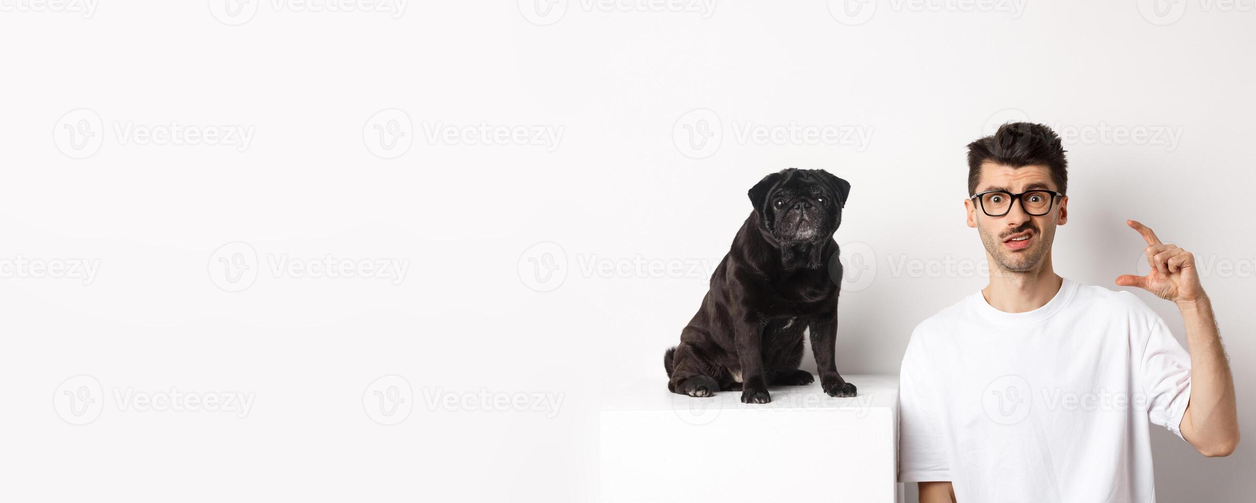 Image of puzzled young man sitting near cute black pug, showing small size and frowning disappointed, white background photo