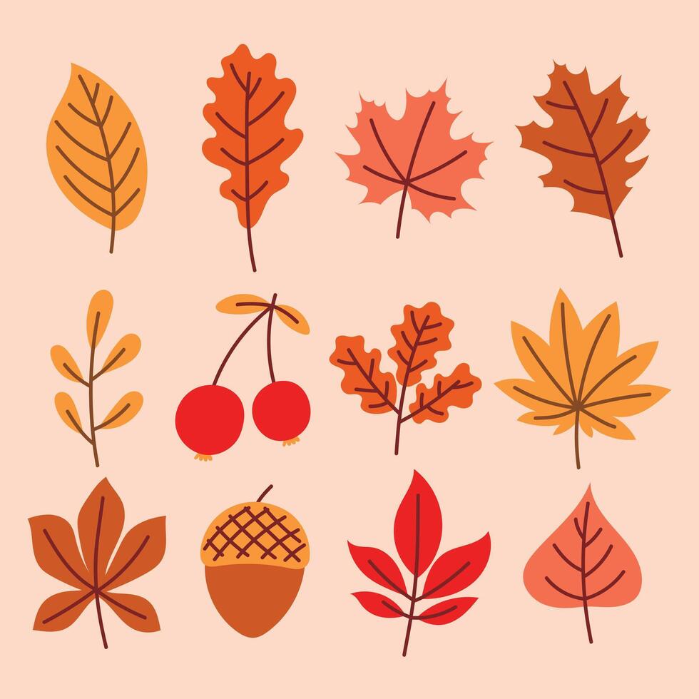 Autumn hand drawn leaves set , cute cozy design leaves elements vector
