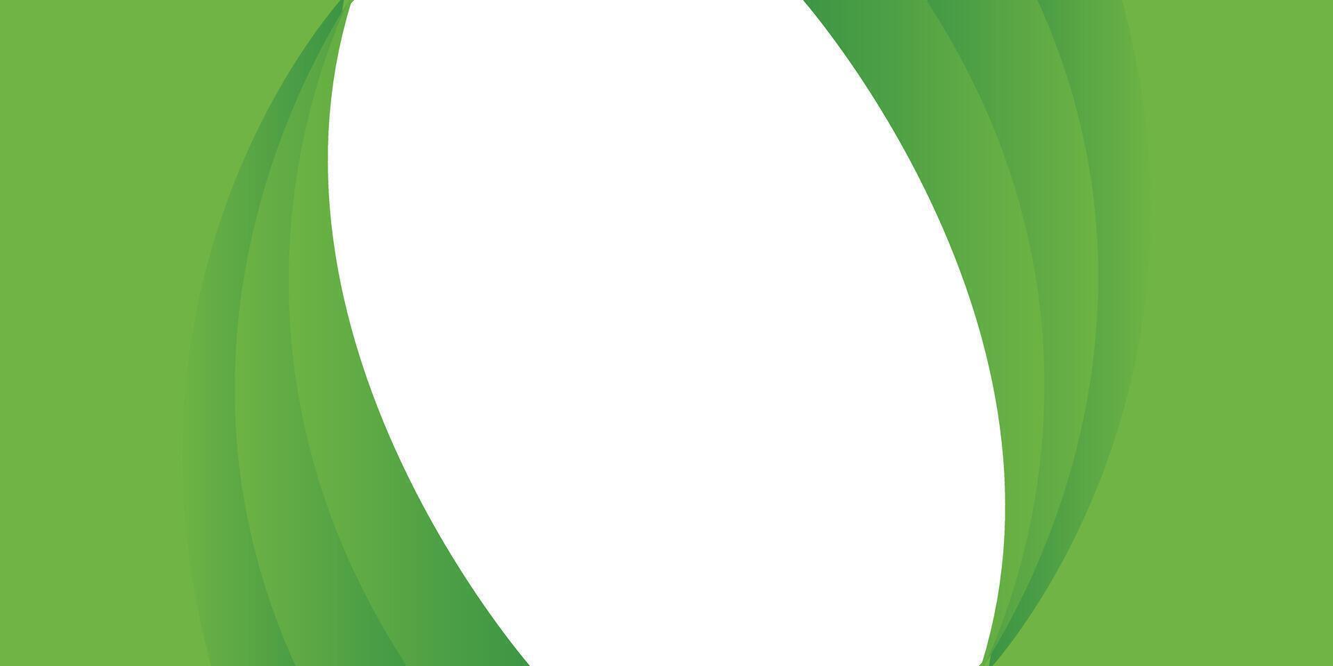 Green and white background with dynamic curves vector