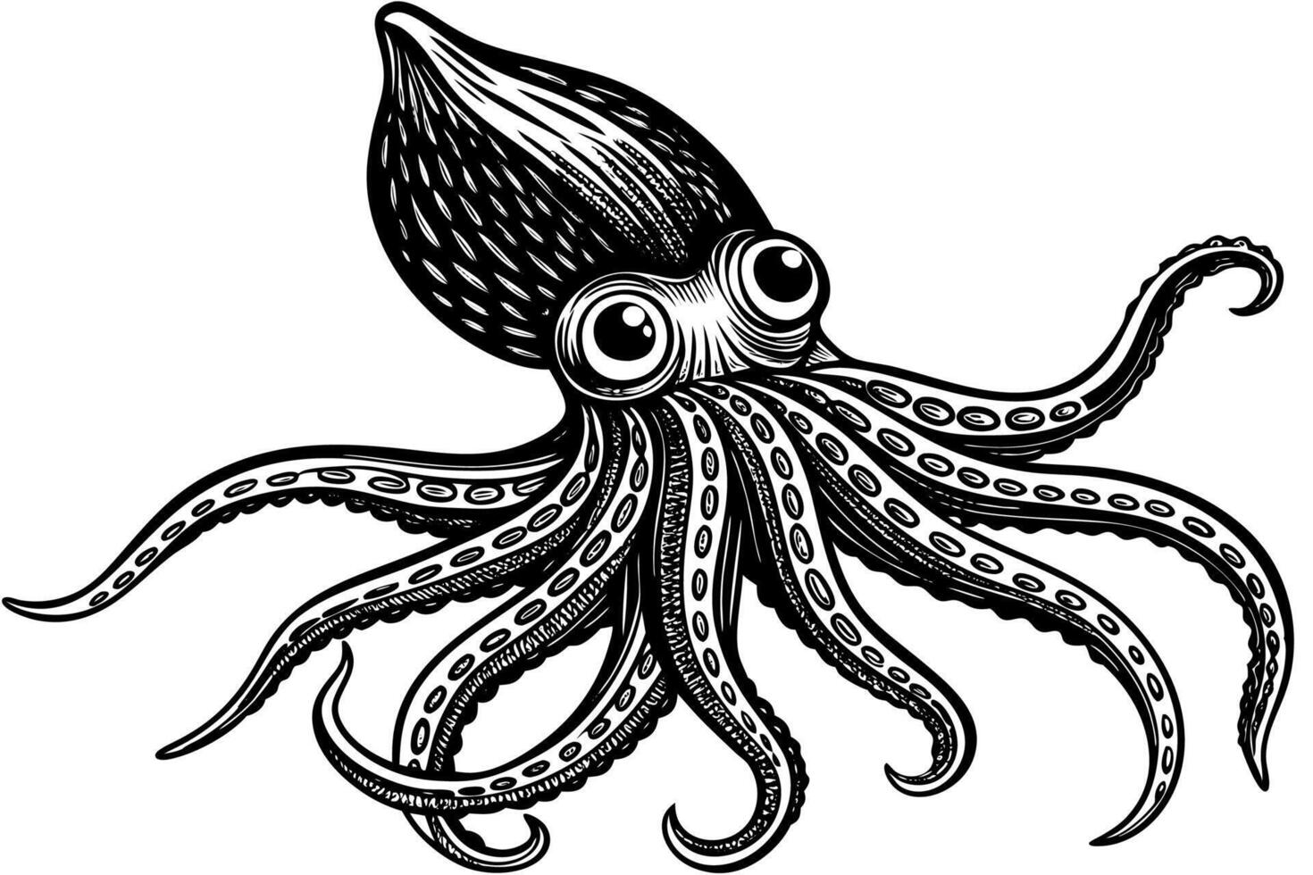 Funny Squid Illustration with White Background Cartoons, Clipart, and Line Art Design, Funny squid with white background cartoon, clipart, and line art design vector