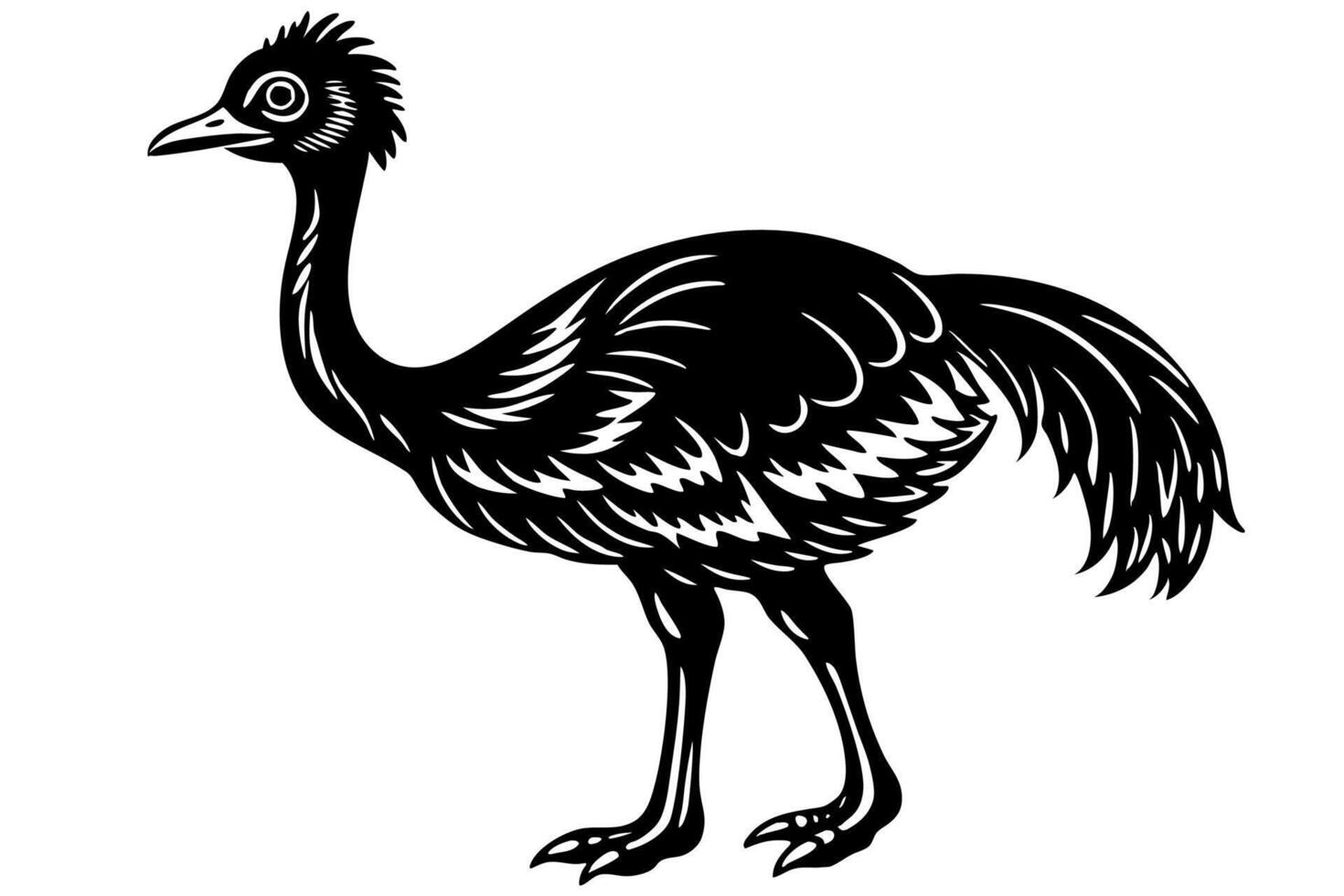 Funny Emu Illustration Cartoon, Clipart, and Line Art on White Background, Funny emu cartoon illustration, clipart, and line art on white background vector