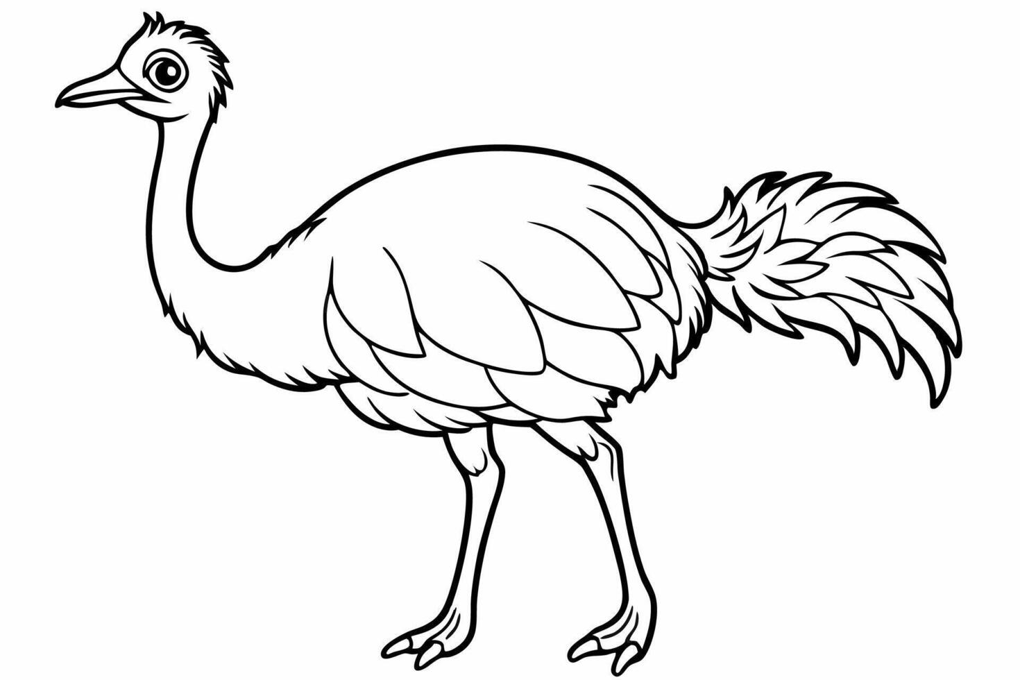 Funny Emu Illustration Cartoon, Clipart, and Line Art on White Background, Funny emu cartoon illustration, clipart, and line art on white background vector