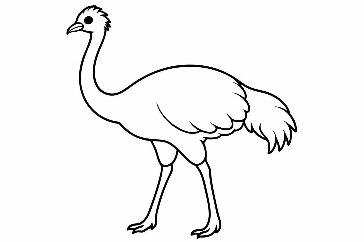 Funny Emu Illustration Cartoon, Clipart, and Line Art on White Background, Funny emu cartoon illustration, clipart, and line art on white background vector