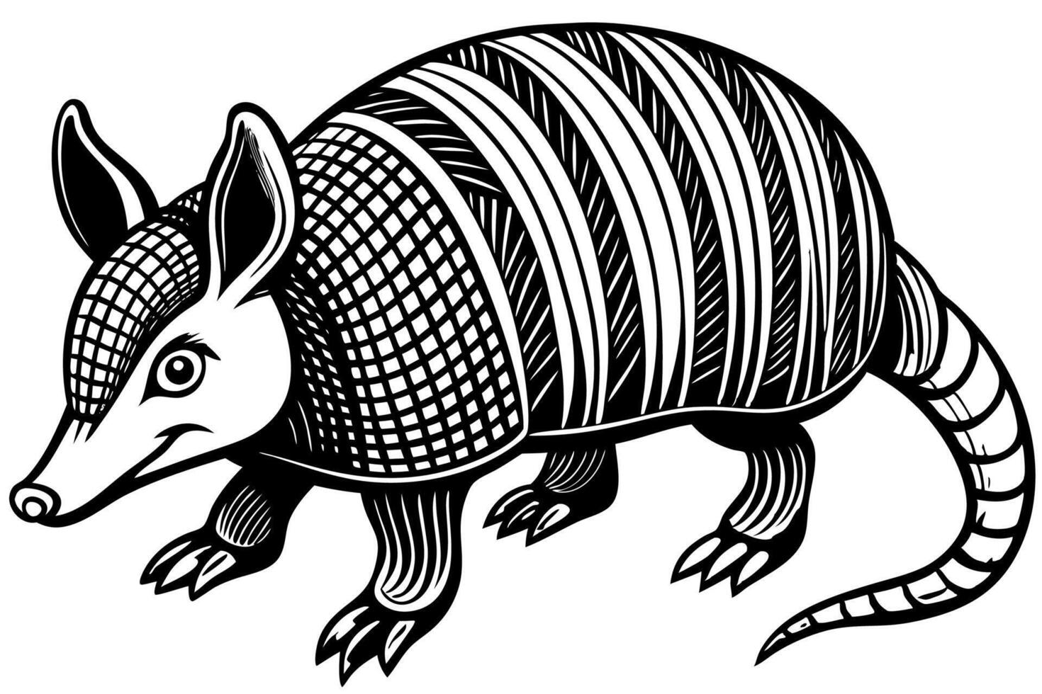 Funny Armadillo Illustration Cartoons, Clipart And Line Art Design on White Background, Funny armadillo illustration in cartoon, clipart, and line art styles on a white background. vector