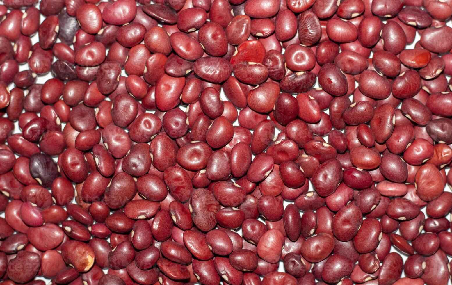Background of red dried beans close-up. The texture of the dried beans photo