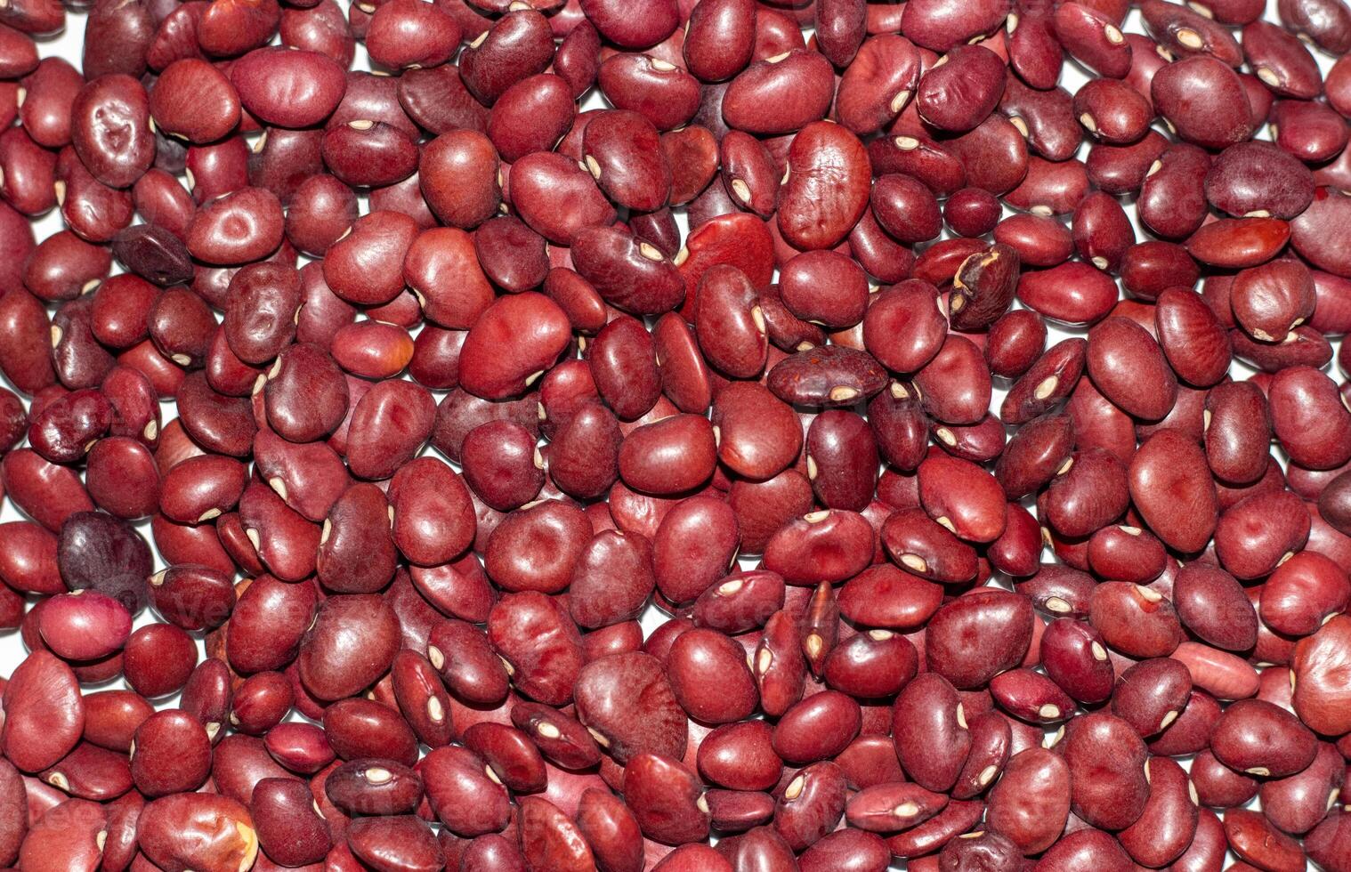 Background of red dried beans close-up. The texture of the dried beans photo