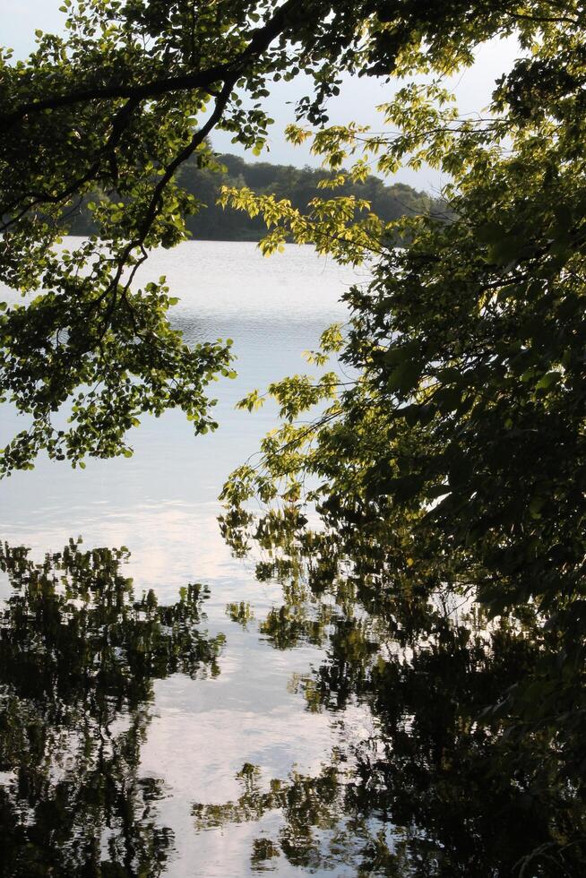 simple nature background photo