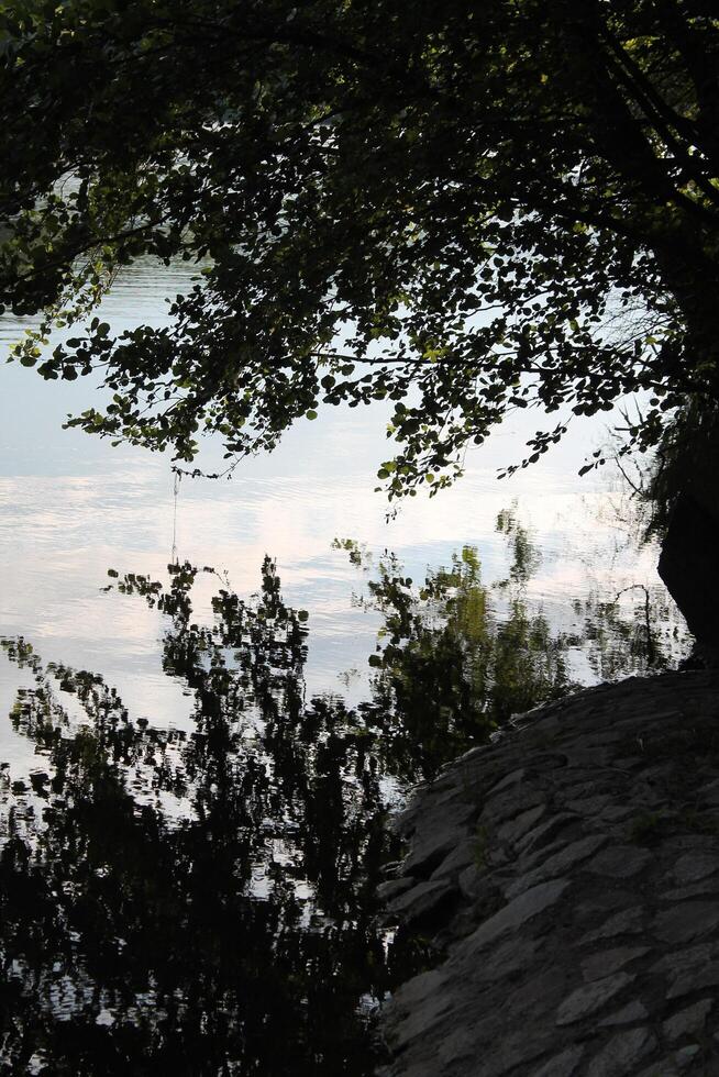 simple nature background photo