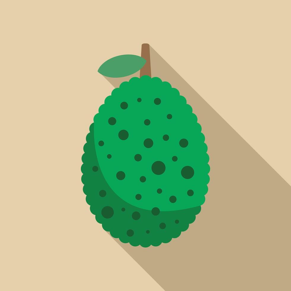 Green jackfruit showing its distinctive shape vector