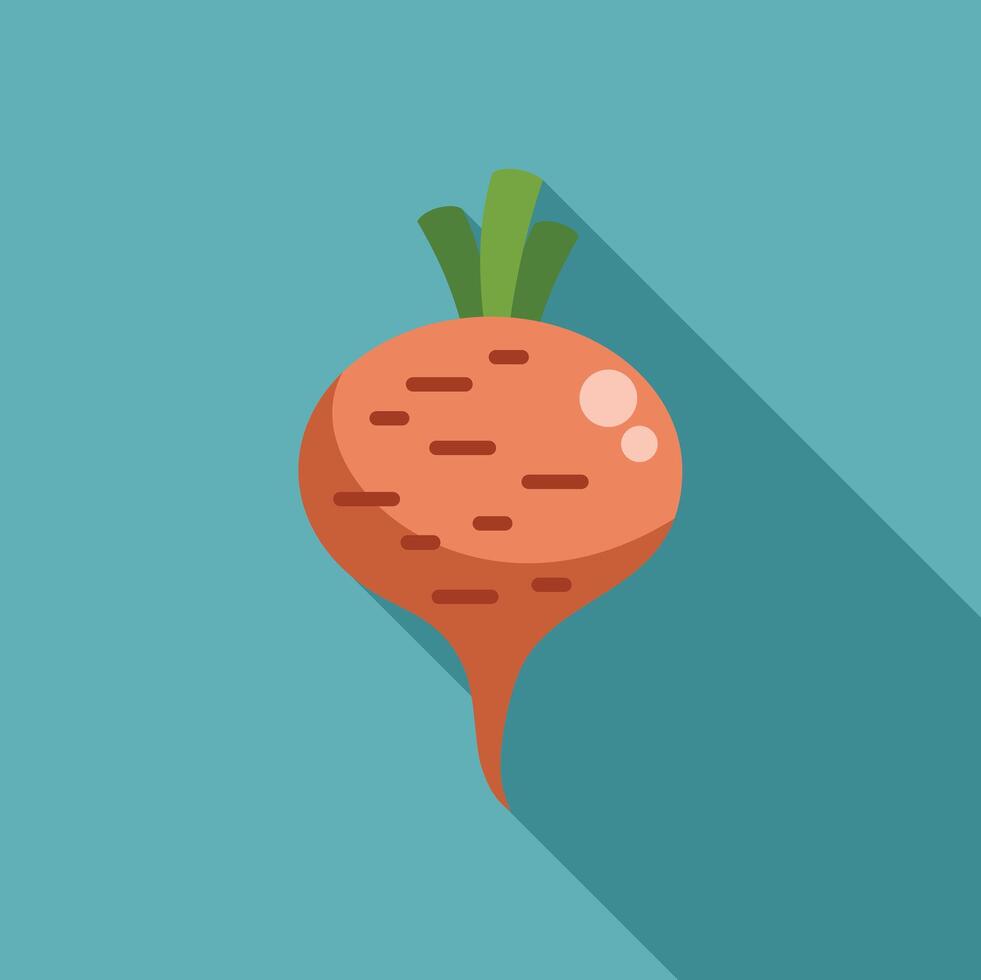 Single beet root vegetable icon showing long shadow vector