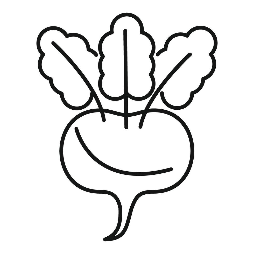 Fresh beetroot growing with leaves icon thin line style vector