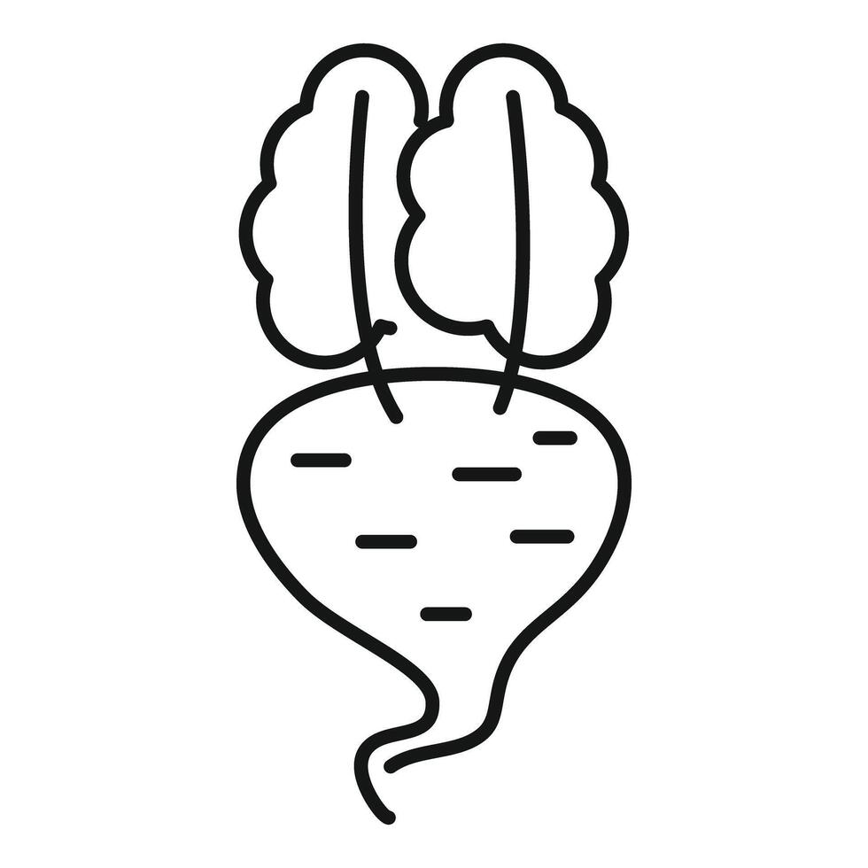 Fresh beetroot growing with leaves icon thin line vector illustration