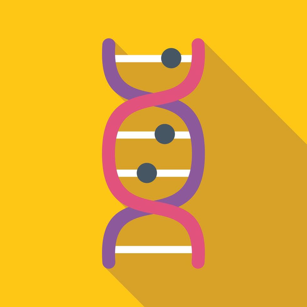 Dna double helix structure forming with long shadow on yellow background vector