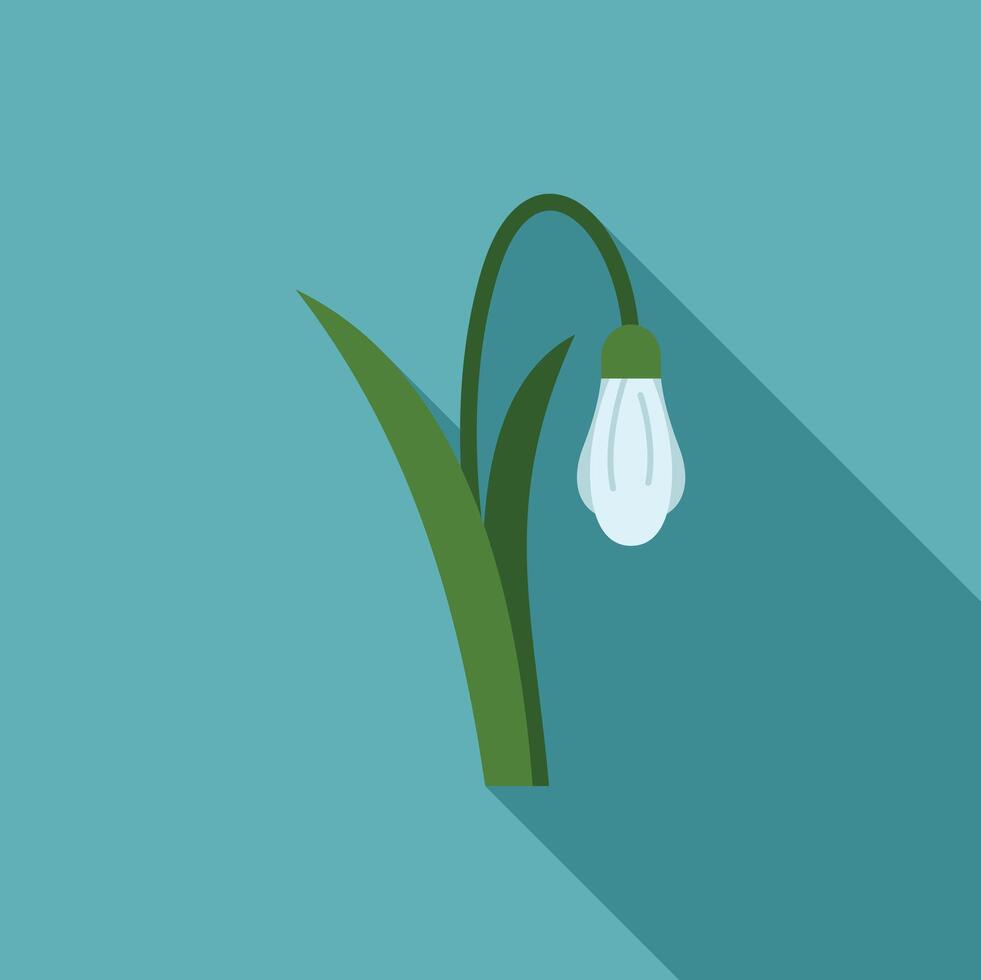 Single snowdrop flower growing with long shadow vector