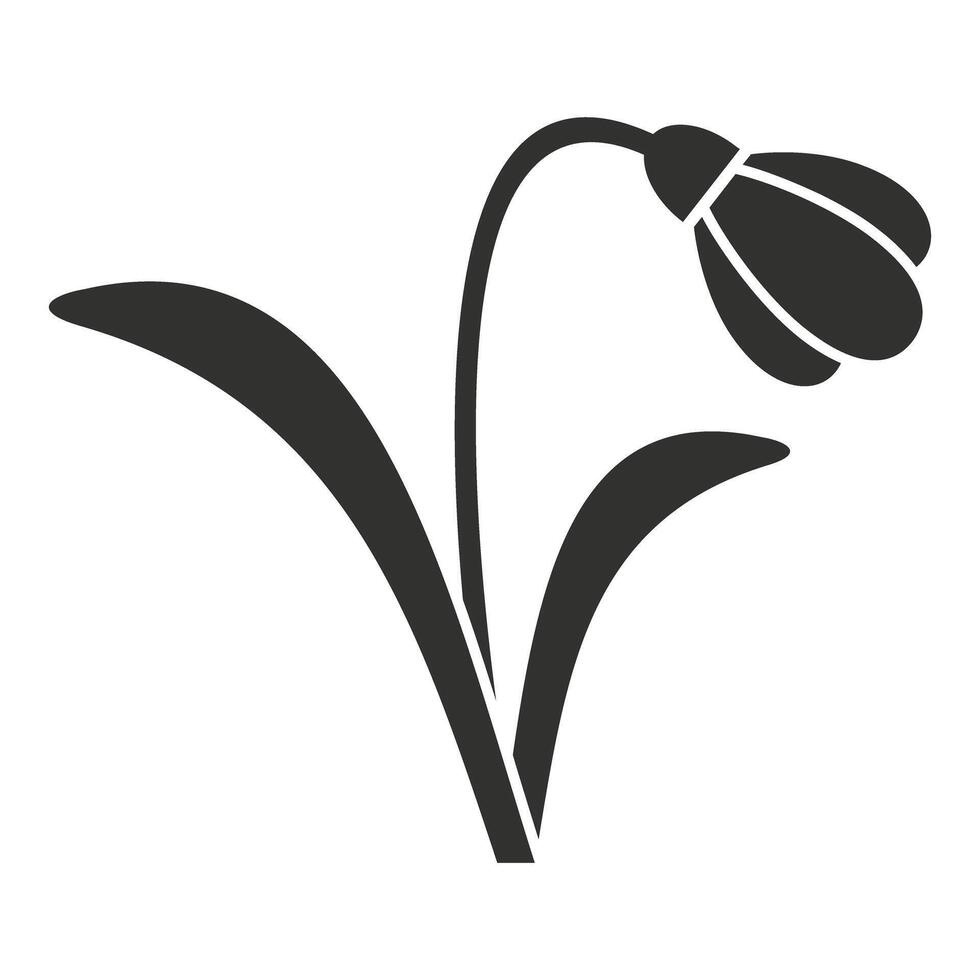 Single snowdrop flower growing with stem and leaves vector