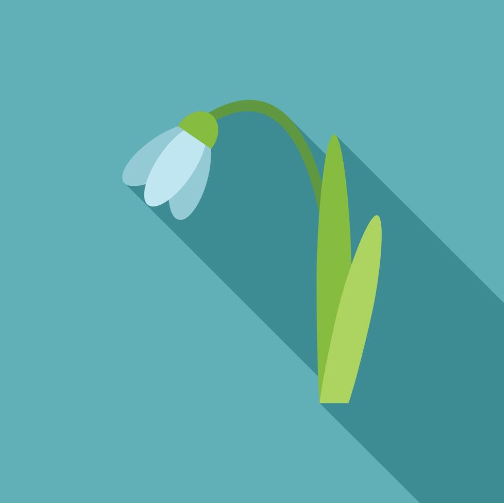 Single snowdrop flower growing with long shadow on blue background vector