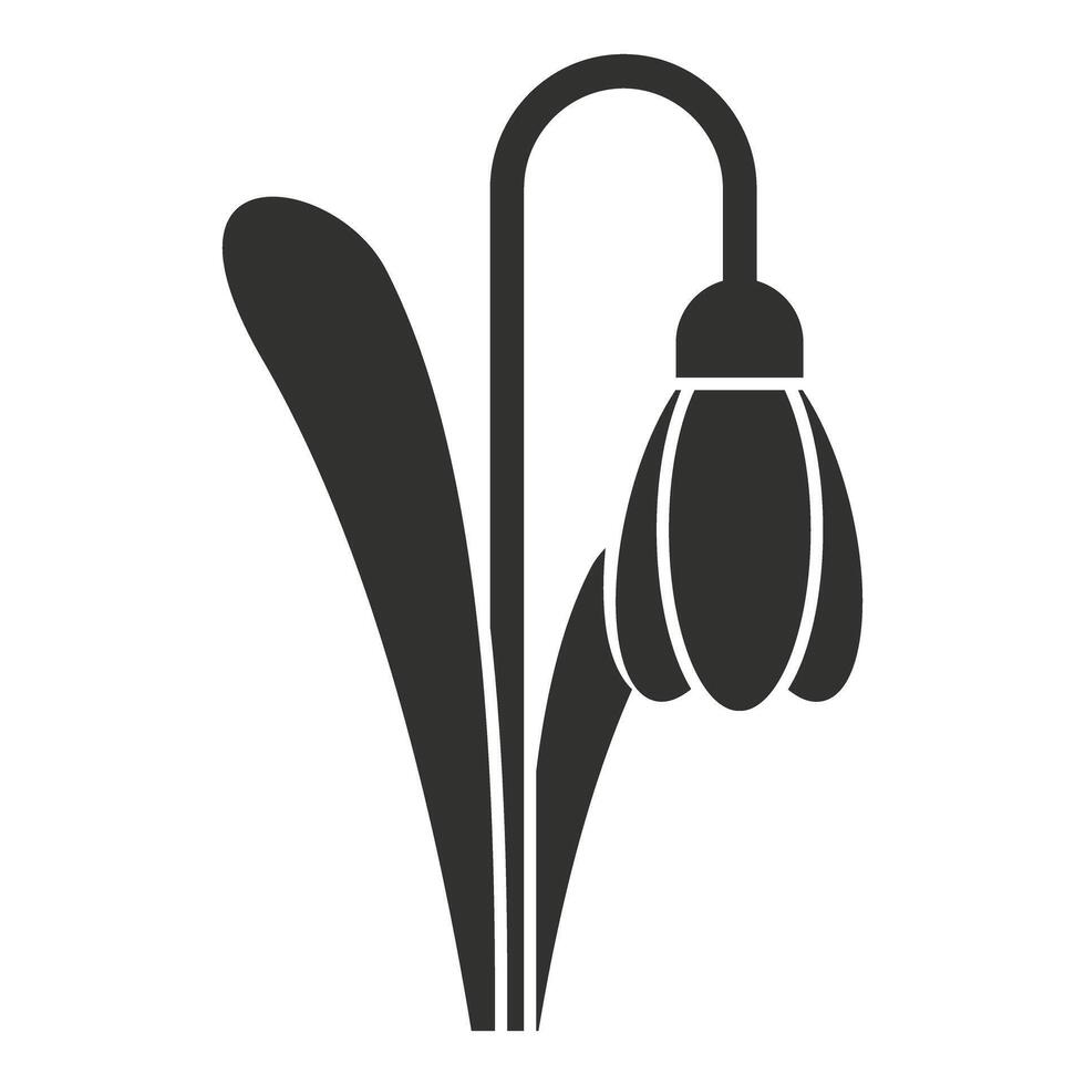 Single snowdrop flower growing with stem and leaves silhouette vector