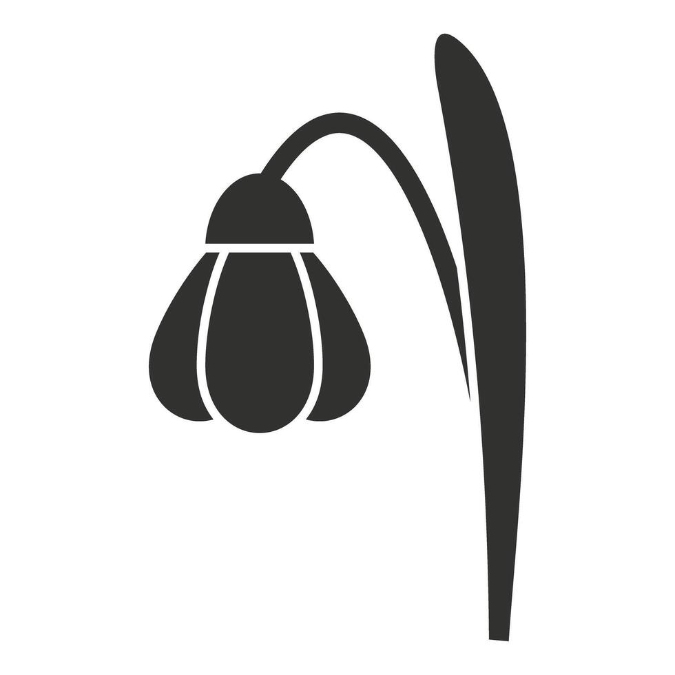 Single snowdrop flower growing with stem and leaf icon vector