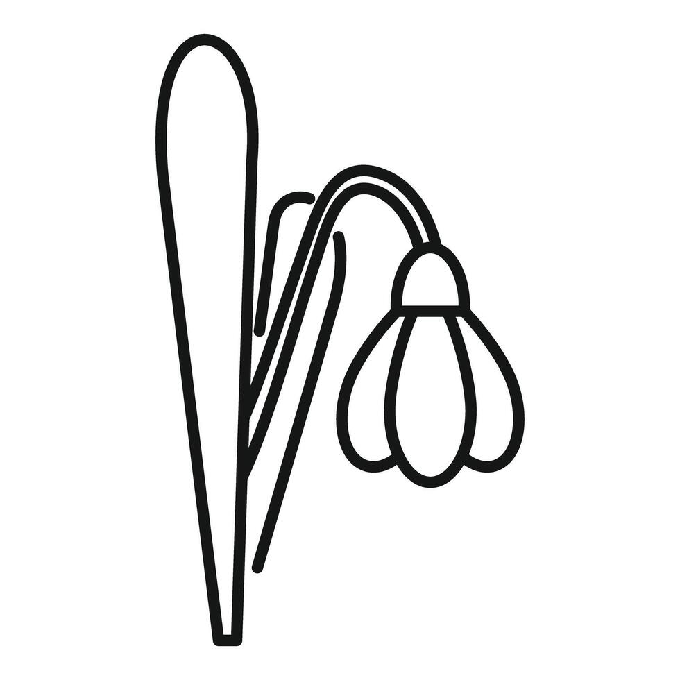 Snowdrop flower growing with stem and leaf vector
