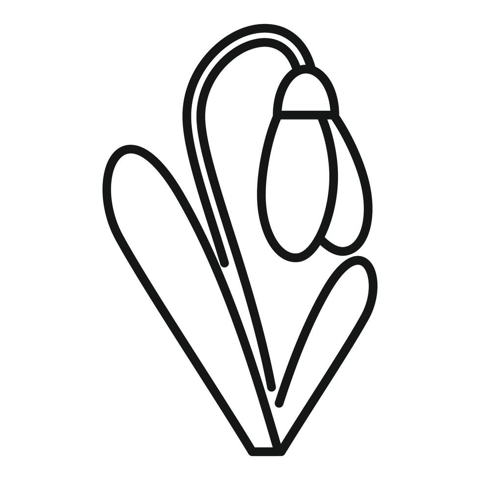 Snowdrop flower blooming with stem and leaves line art drawing vector