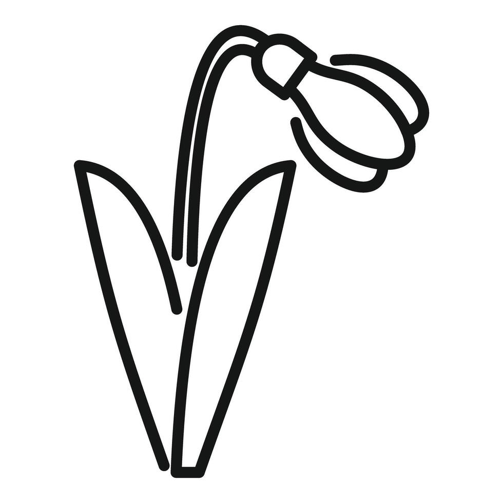 Delicate snowdrop flower blooming in springtime line art vector