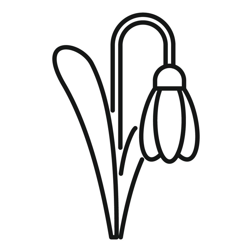 Snowdrop flower growing from the ground line art drawing vector