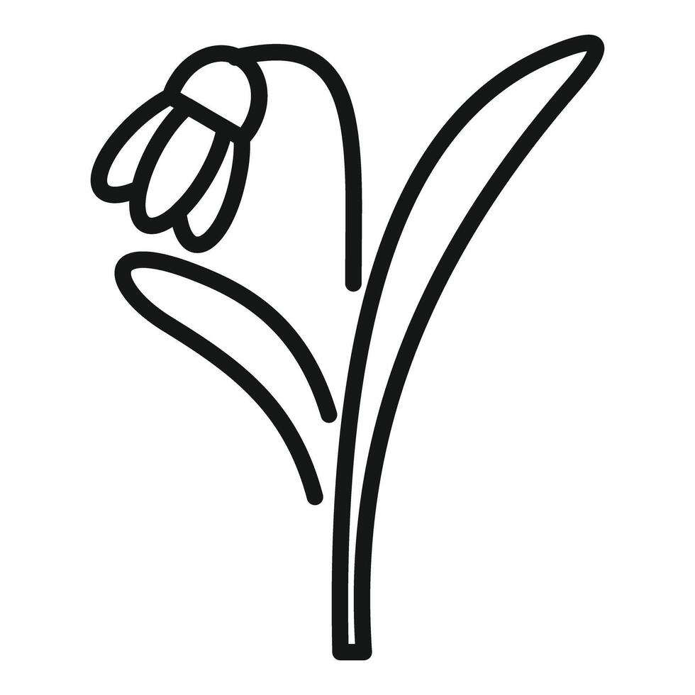 Single snowdrop flower growing with stem and leaves icon vector