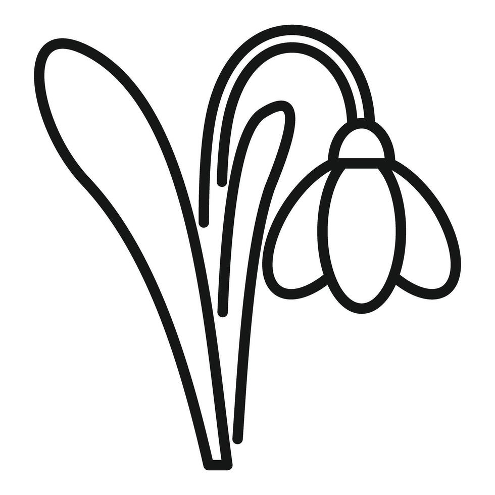 Snowdrop flower growing with stem and leaf icon vector