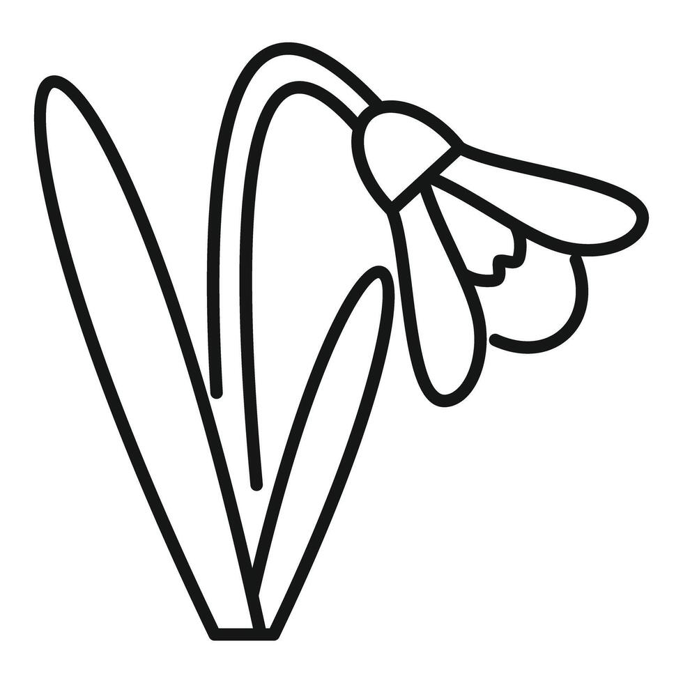 Delicate snowdrop flower blooming in springtime line art vector