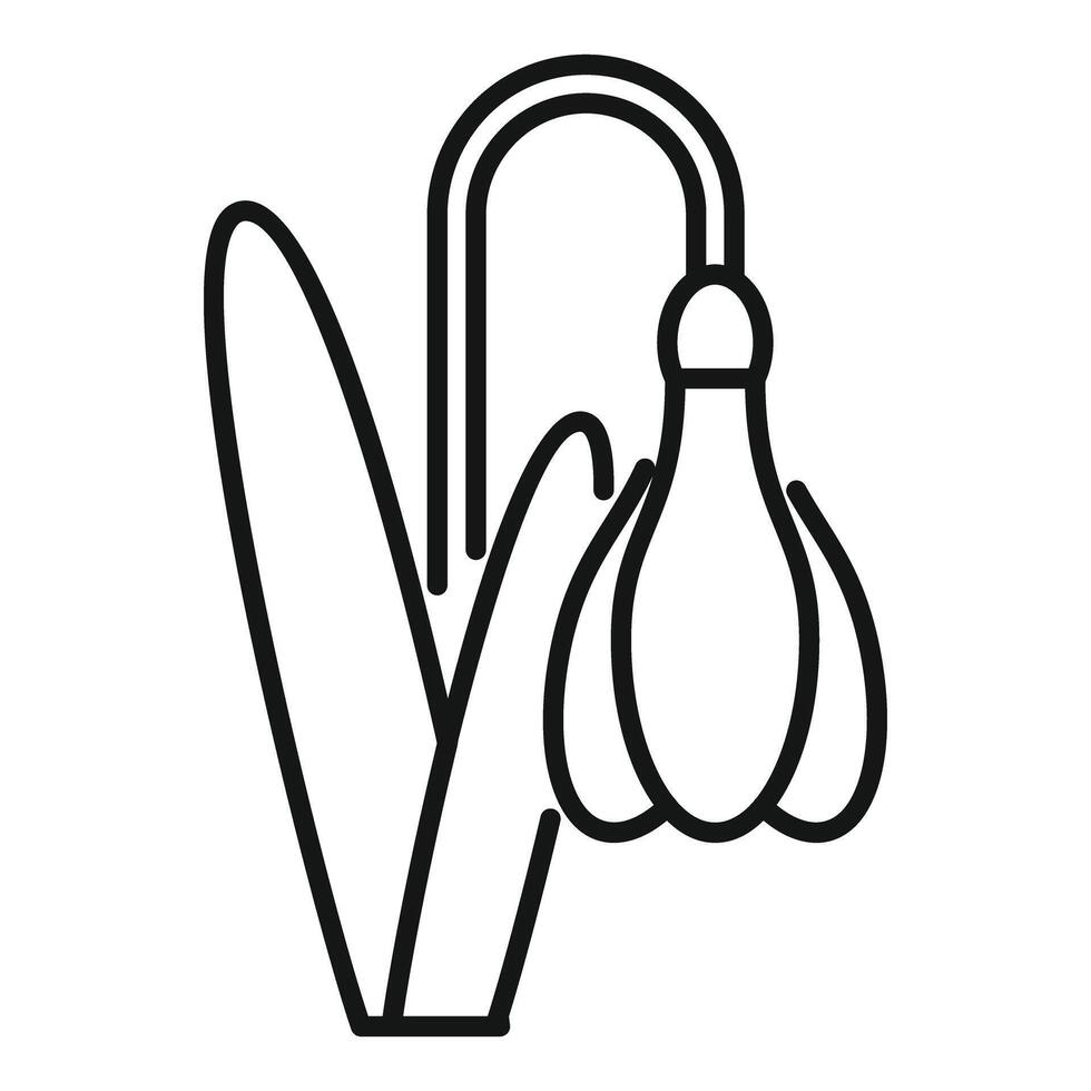 Snowdrop flower growing with stem and leaves icon vector