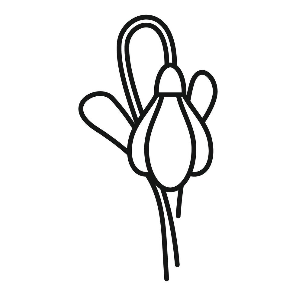 Snowdrop flower growing in spring with line art style vector