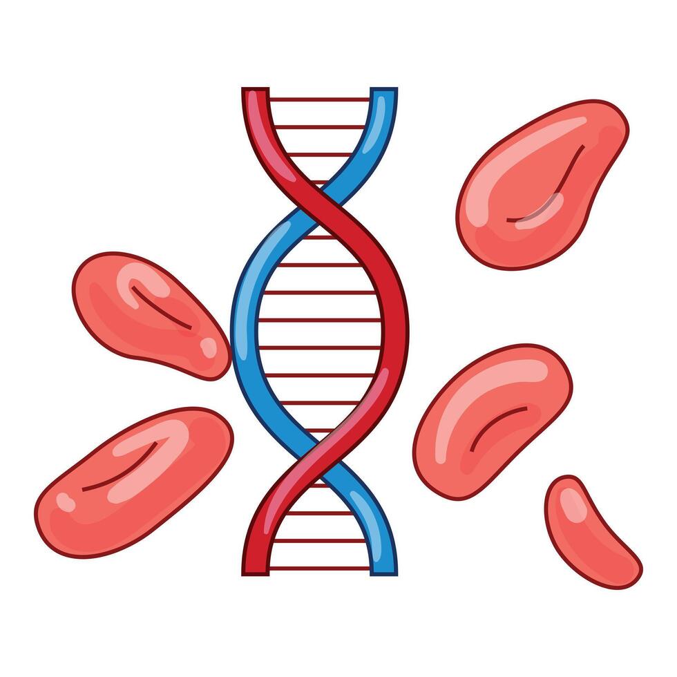 Dna double helix surrounded by red blood cells for genetic research vector