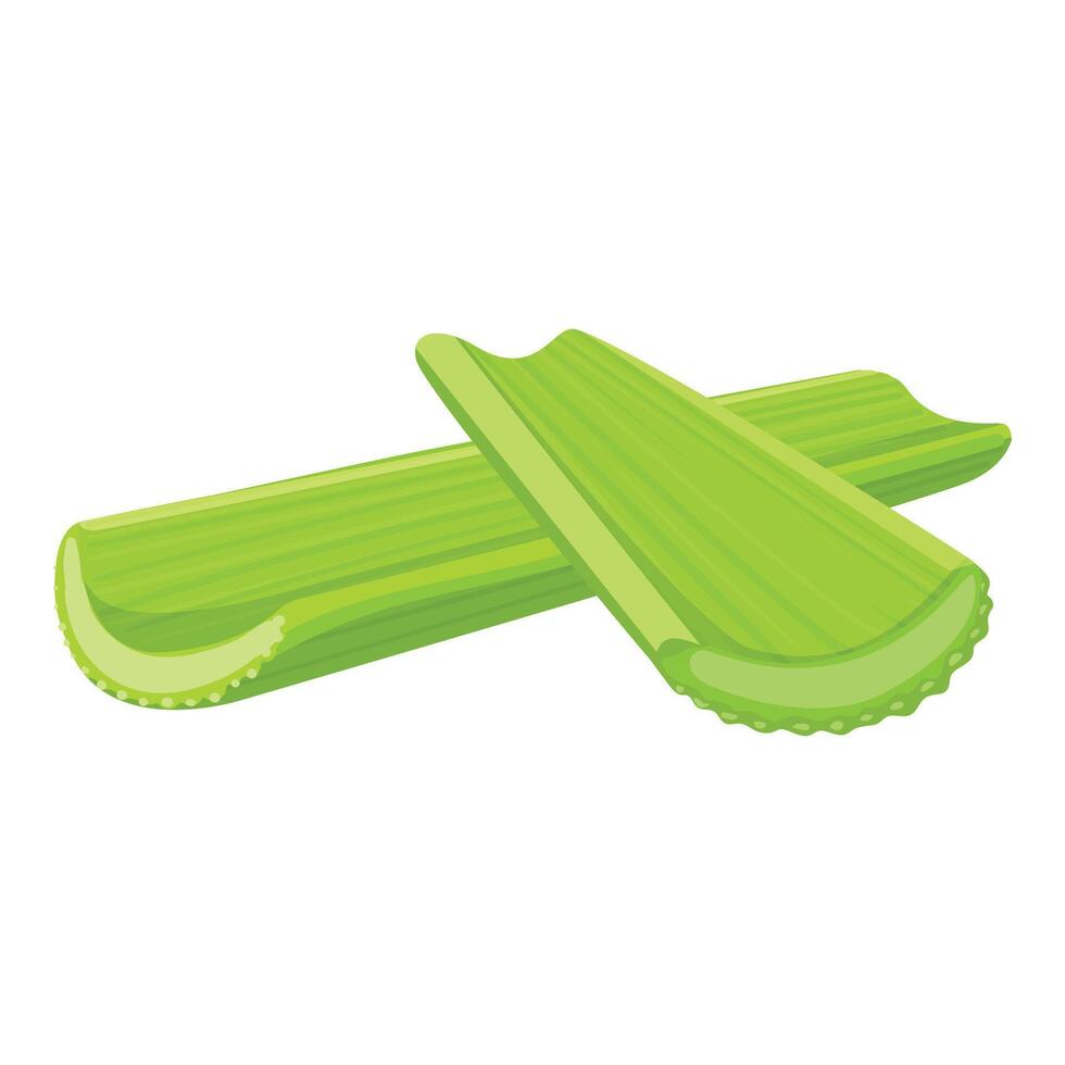 Two stalks of celery laying crossed on white background vector