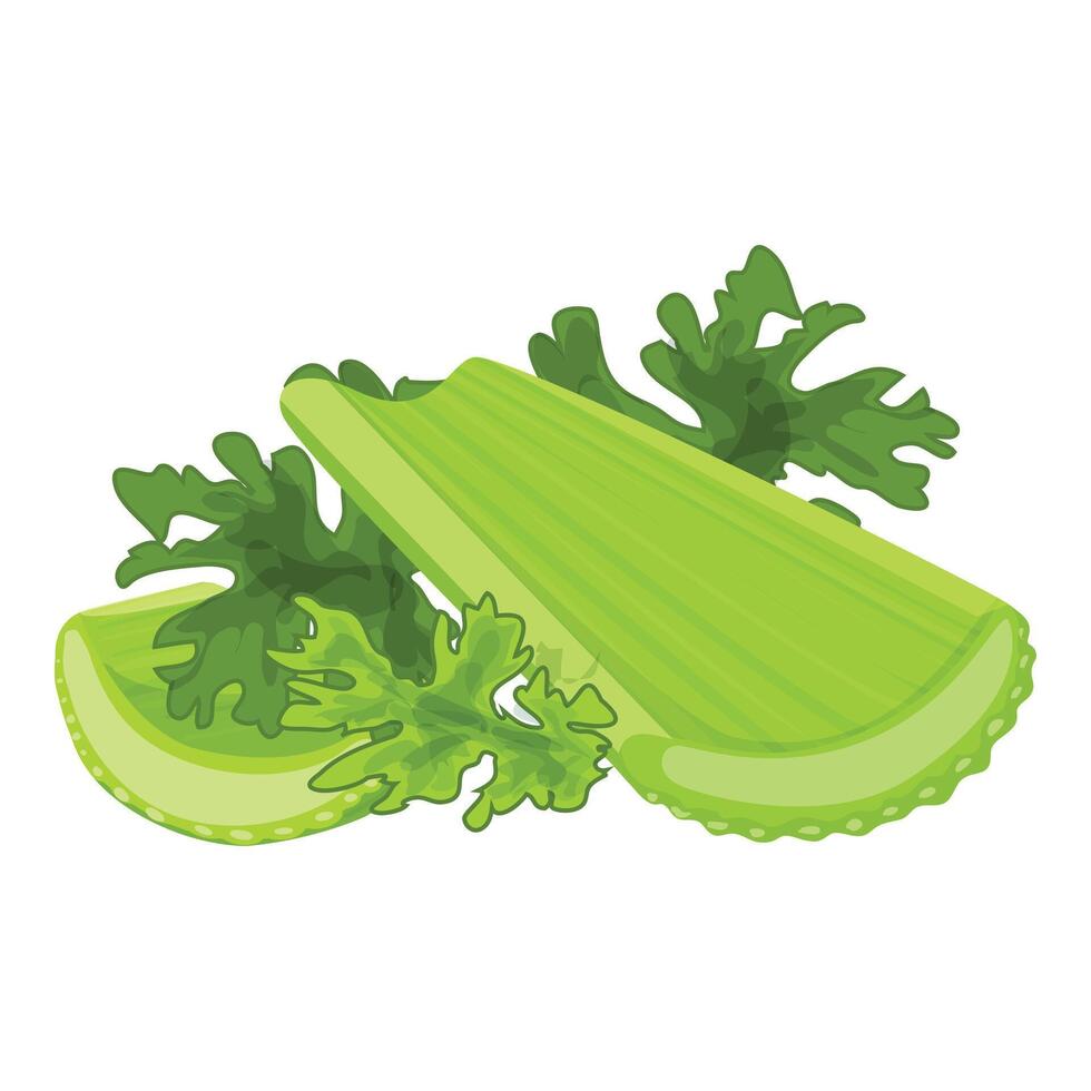 Fresh celery stalks with leaves lying on white background vector