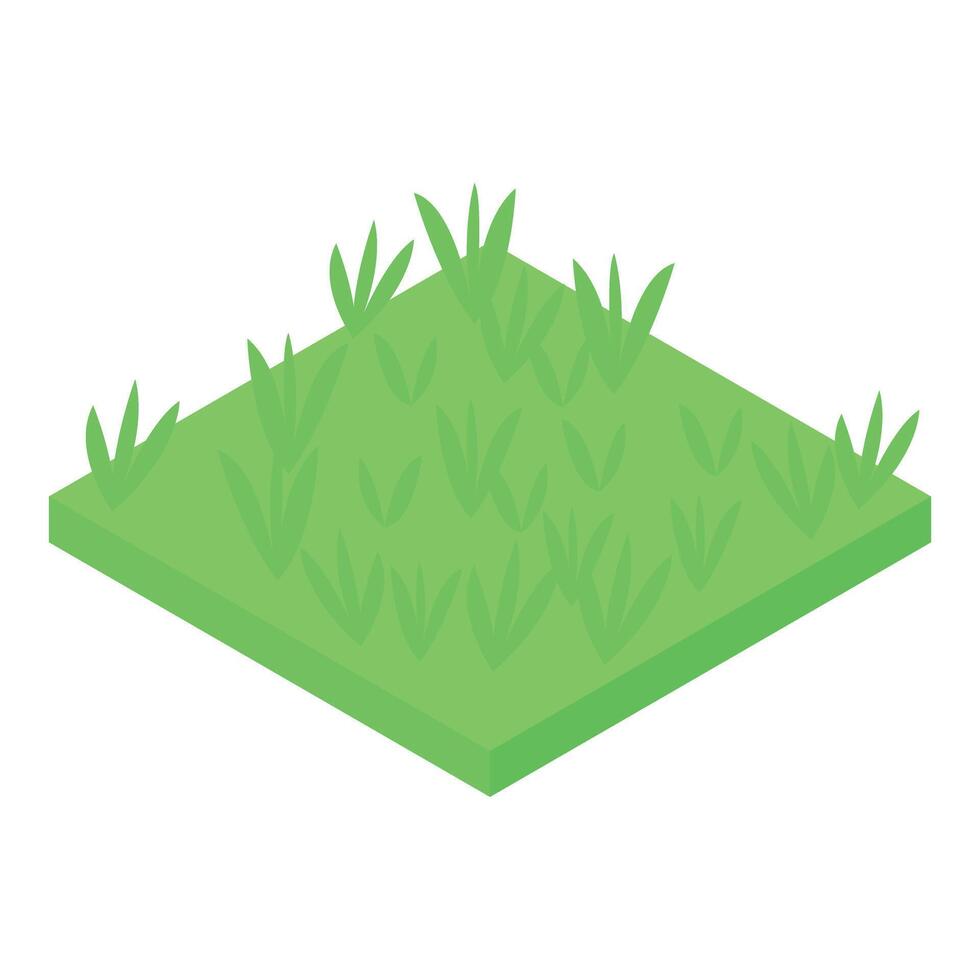 Green grass growing on square soil ground patch isometric view vector