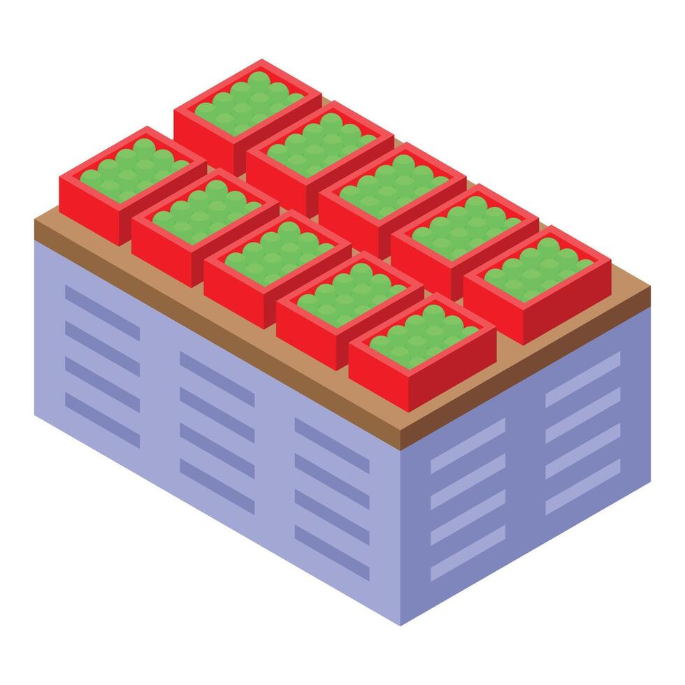 Green apples in red boxes stacked on a metal pallet in a warehouse vector
