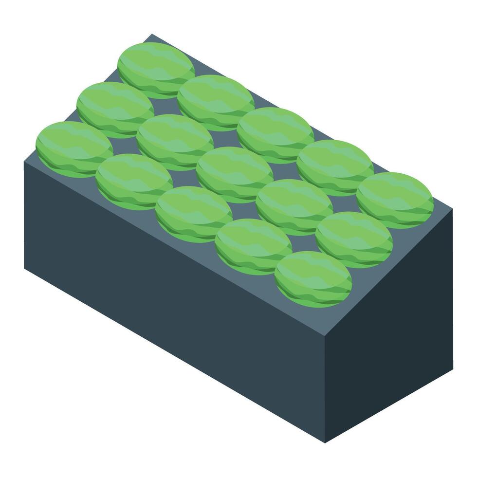 Watermelon greenhouse plantation growing organic food business isometric view vector