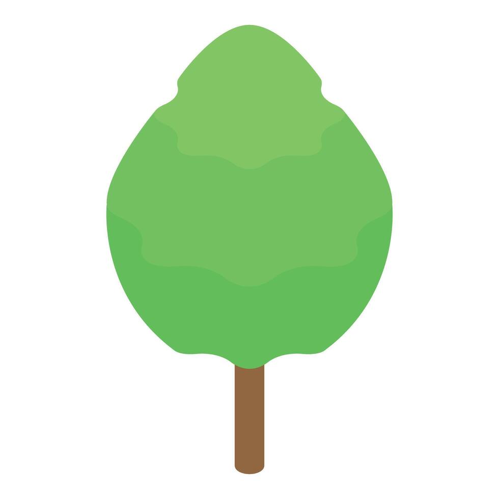Green tree with round crown is growing from ground isometric icon vector