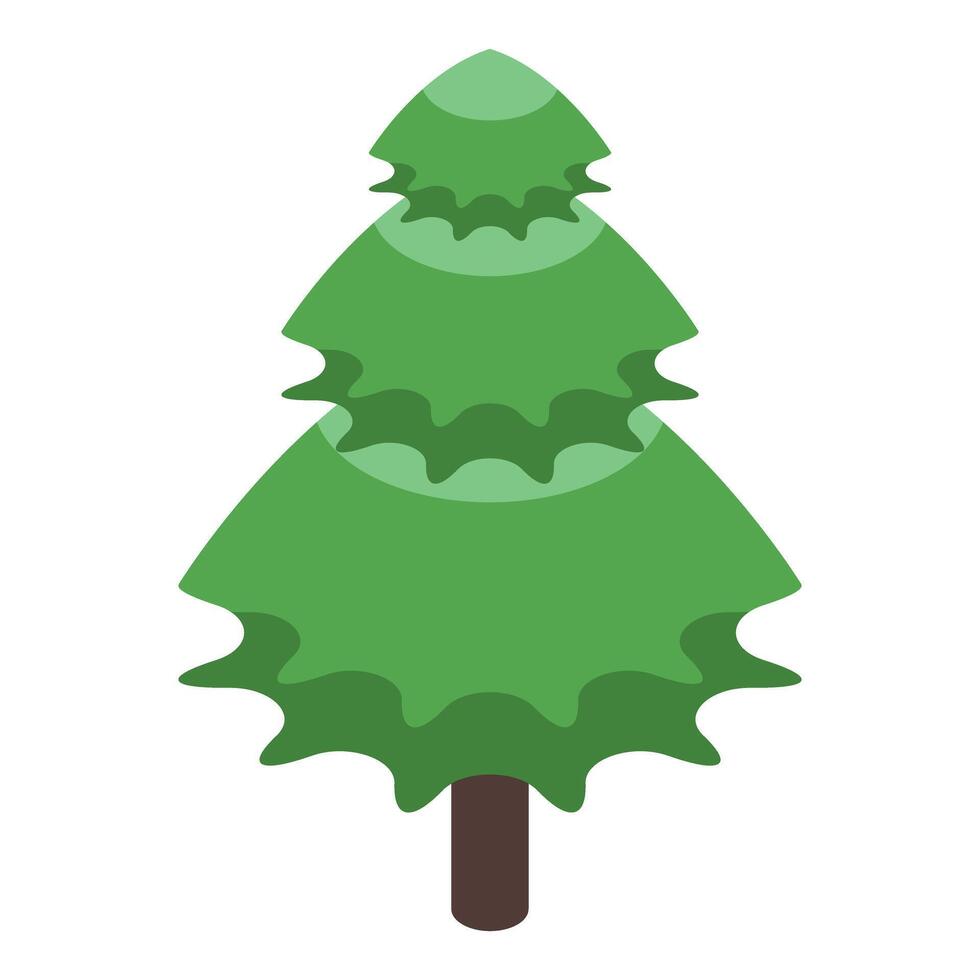 Green fir tree growing in isometric projection vector