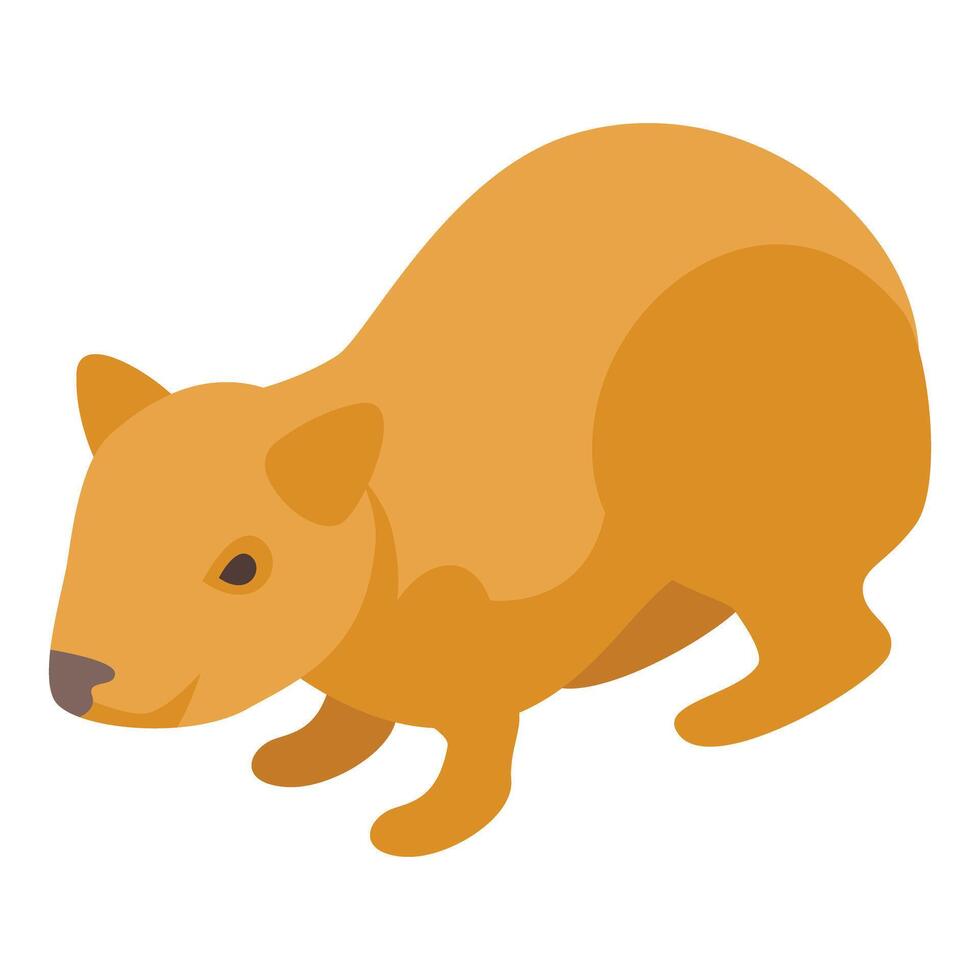 Small wombat standing on four legs isometric view vector