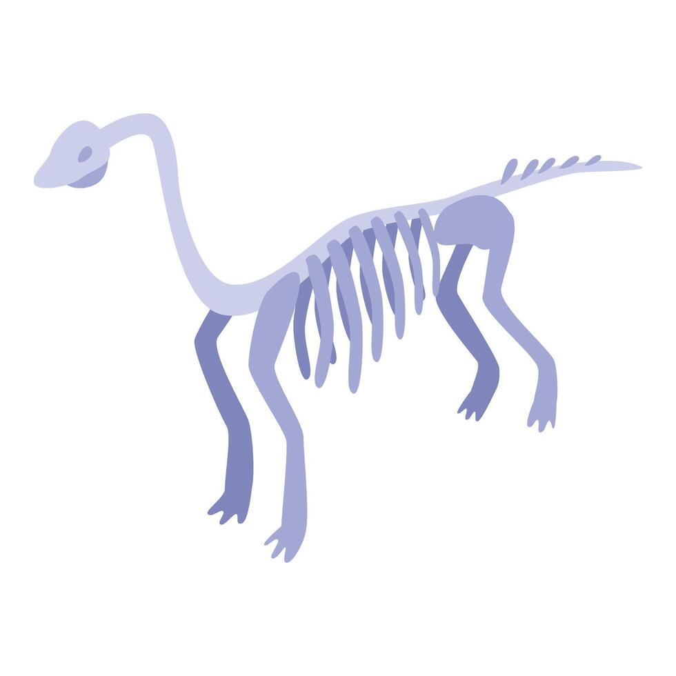 Brachiosaurus skeleton standing on two legs from side view vector