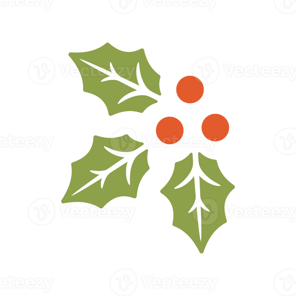 Mistletoe leaves with berries png